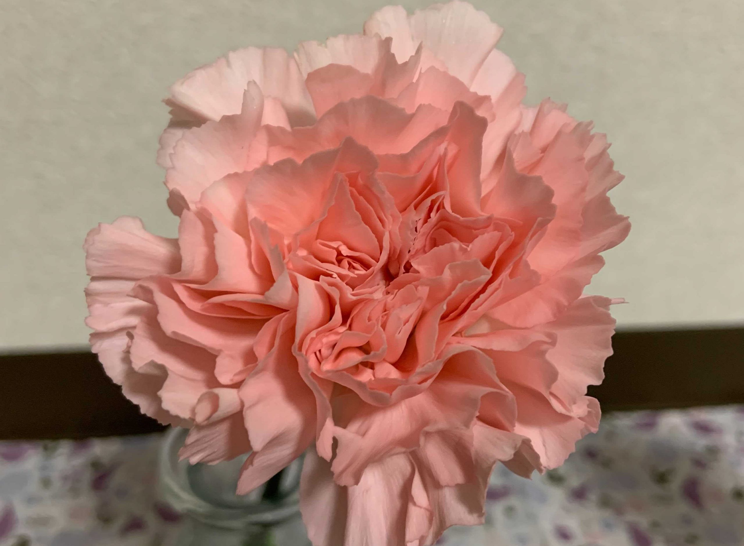 1日目DP有 (2) – コピー