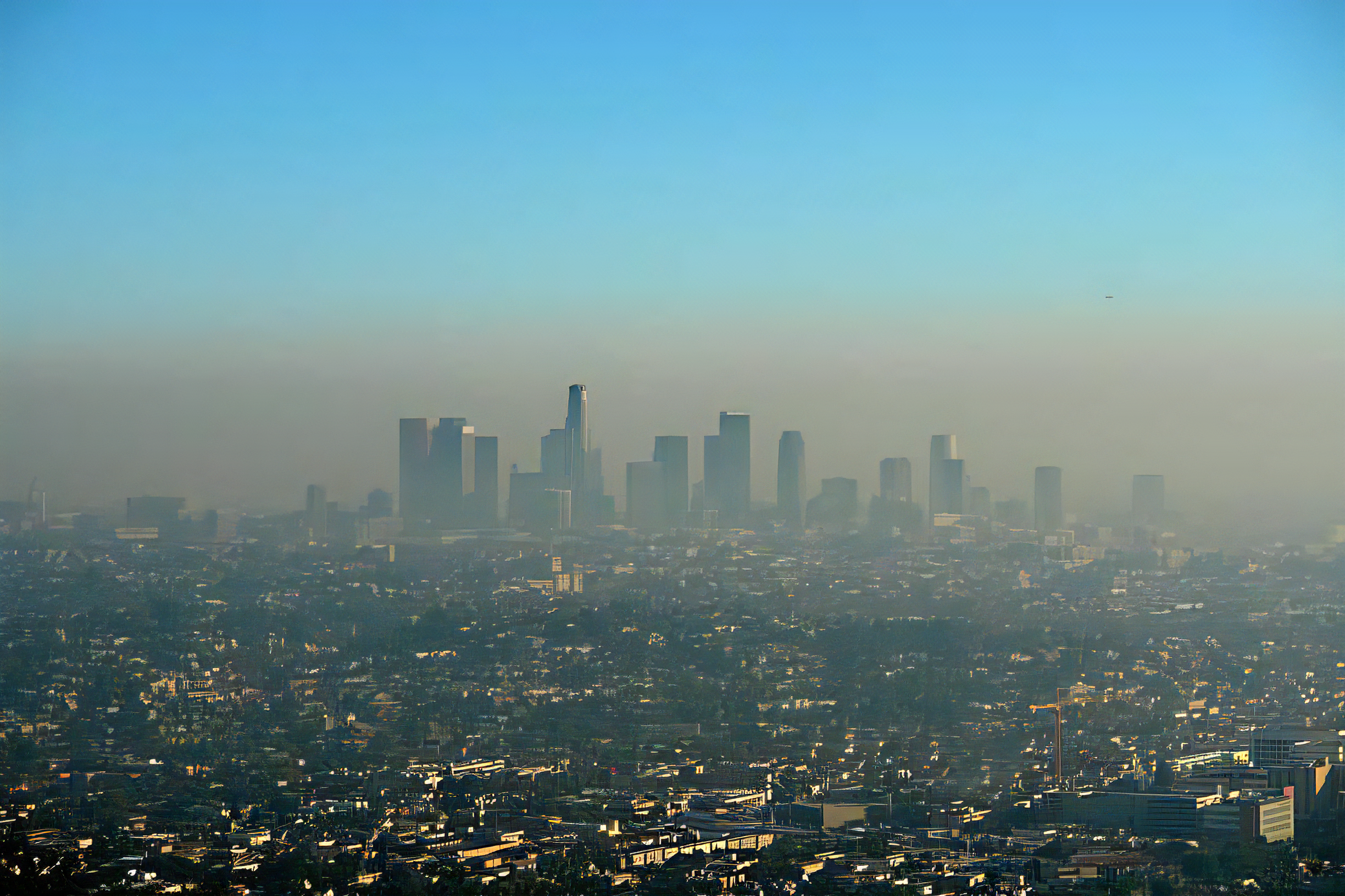 779f7715-2508-497a-aef7-6678995bcf3e-x4